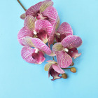 Haste De Orquídea Artificial Rosa 3d - Kit 6 Unidades | Formo